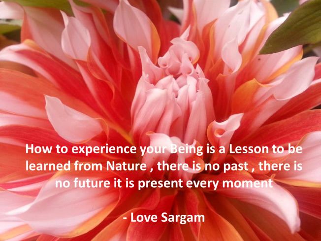 Just Be In The Moment -Learn From Nature