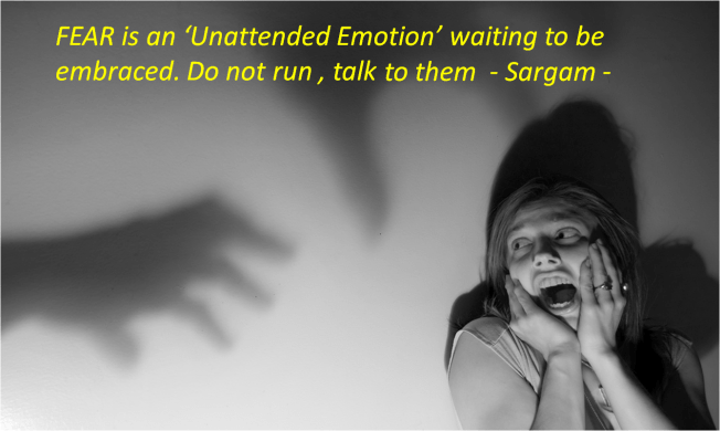 Sargam on Fear Quote