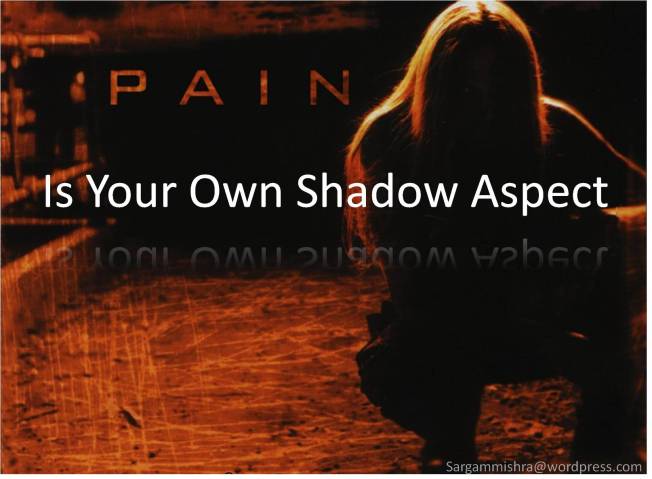 Pain your own Shadow Aspect_Sargam