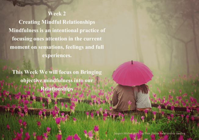 RelationshipHealing Sargam Mishra_Week 2